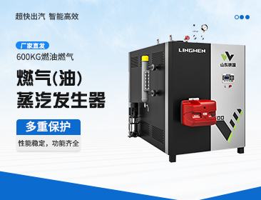 燃气蒸汽发生器的灭菌方式