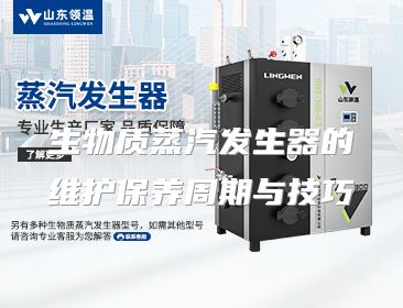 生物质蒸汽发生器的维护保养周期与技巧