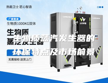 生物质蒸汽发生器的环保特点及市场前景