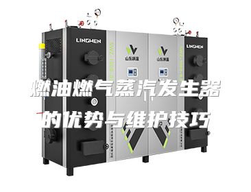 燃油燃气蒸汽发生器的优势与维护技巧