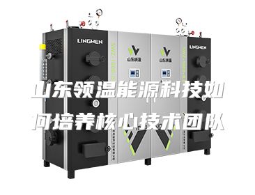 山东领温能源科技如何培养核心技术团队