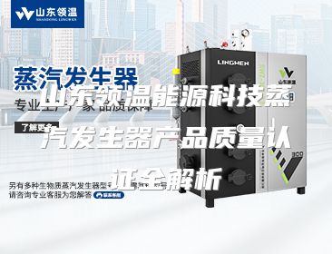 山东领温能源科技蒸汽发生器产品质量认证全解析