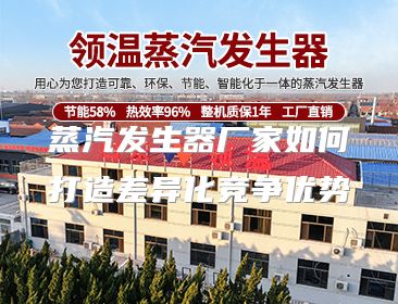 蒸汽发生器厂家如何打造差异化竞争优势