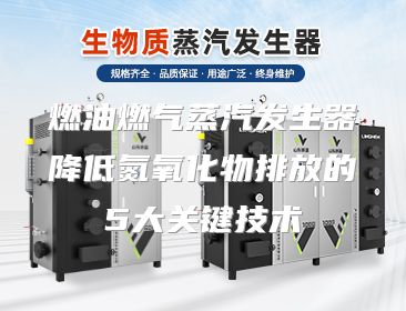 燃油燃气蒸汽发生器降低氮氧化物排放的5大关键技术