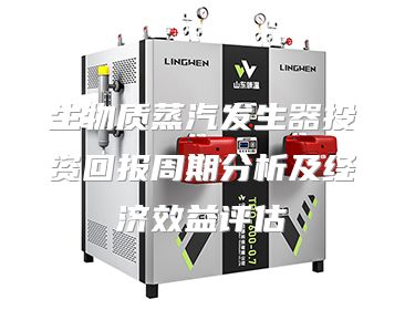 生物质蒸汽发生器投资回报周期分析及经济效益评估