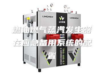 燃油燃气蒸汽发生器在应急备用系统的配置