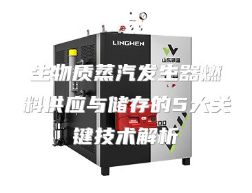 生物质蒸汽发生器燃料供应与储存的5大关键技术解析