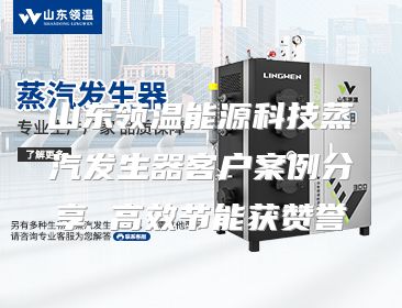 山东领温能源科技蒸汽发生器客户案例分享 高效节能获赞誉