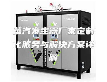 蒸汽发生器厂家定制化服务与解决方案详解