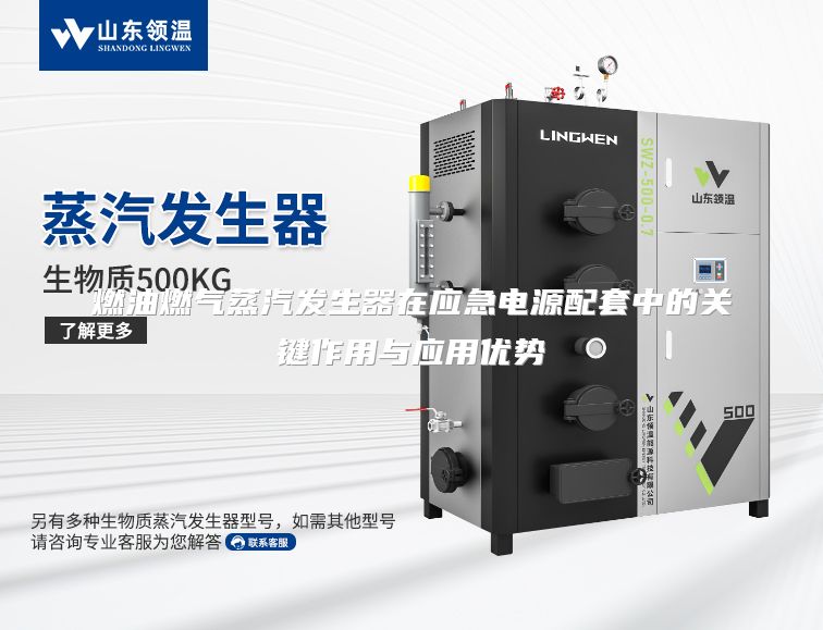 燃油燃气蒸汽发生器在应急电源配套中的关键作用与应用优势