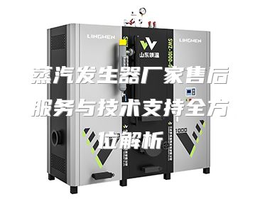 蒸汽发生器厂家售后服务与技术支持全方位解析