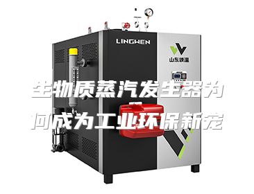 生物质蒸汽发生器为何成为工业环保新宠