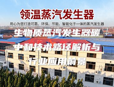 生物质蒸汽发生器碳中和技术路径解析与行业应用前景