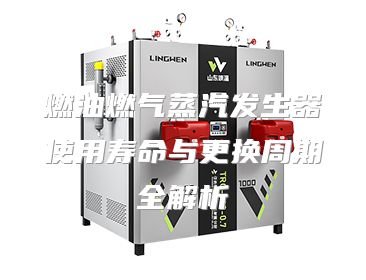 燃油燃气蒸汽发生器使用寿命与更换周期全解析