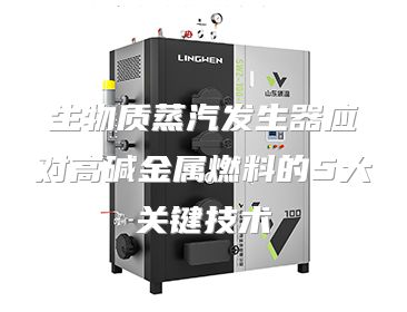 生物质蒸汽发生器应对高碱金属燃料的5大关键技术