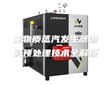 生物质蒸汽发生器燃料预处理技术全解析