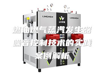燃油燃气蒸汽发生器噪音控制技术的实践案例解析