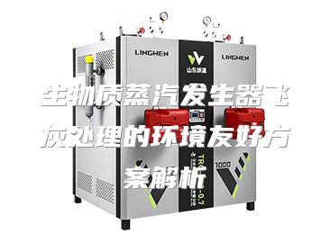 生物质蒸汽发生器飞灰处理的环境友好方案解析