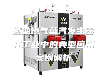 燃油燃气蒸汽发生器在工业中的典型应用案例解析