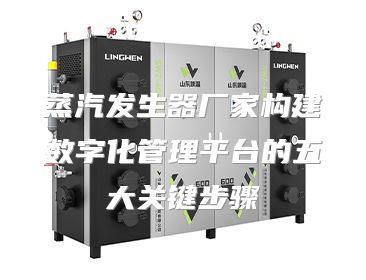 蒸汽发生器厂家构建数字化管理平台的五大关键步骤