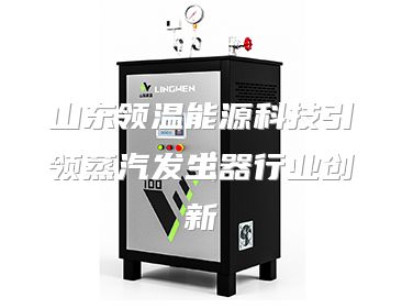 山东领温能源科技引领蒸汽发生器行业创新