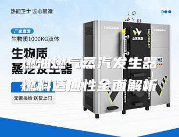 燃油燃气蒸汽发生器燃料适应性全面解析