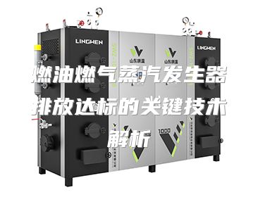 燃油燃气蒸汽发生器排放达标的关键技术解析