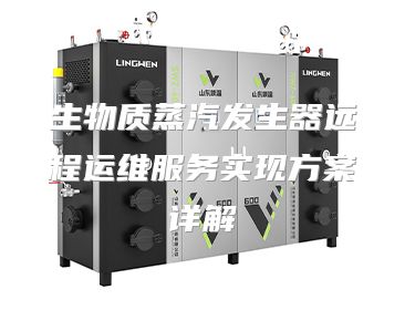 生物质蒸汽发生器远程运维服务实现方案详解