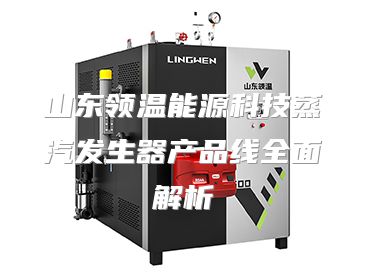 山东领温能源科技蒸汽发生器产品线全面解析