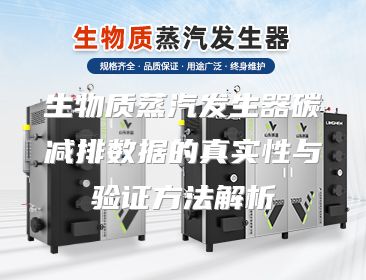 生物质蒸汽发生器碳减排数据的真实性与验证方法解析