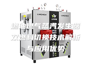 燃油燃气蒸汽发生器双燃料切换技术解析与应用优势