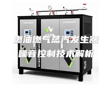 燃油燃气蒸汽发生器噪音控制技术解析