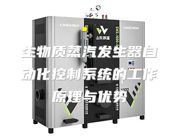 生物质蒸汽发生器自动化控制系统的工作原理与优势