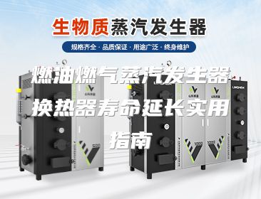 燃油燃气蒸汽发生器换热器寿命延长实用指南