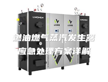 燃油燃气蒸汽发生器应急处理方案详解