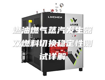 燃油燃气蒸汽发生器双燃料切换稳定性测试详解