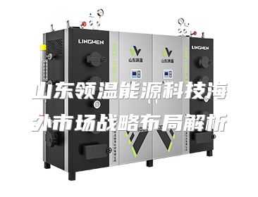 山东领温能源科技海外市场战略布局解析