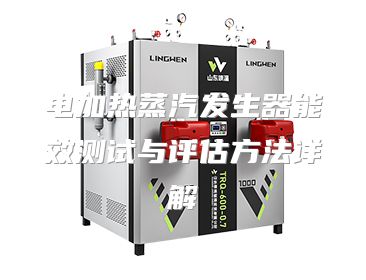 电加热蒸汽发生器能效测试与评估方法详解