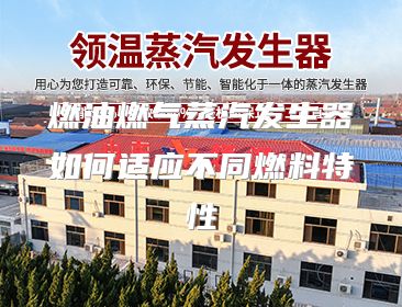 燃油燃气蒸汽发生器如何适应不同燃料特性