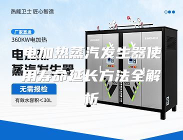 电加热蒸汽发生器使用寿命延长方法全解析