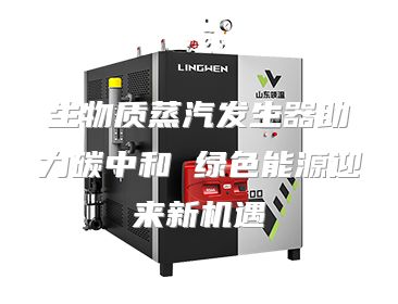 生物质蒸汽发生器助力碳中和 绿色能源迎来新机遇