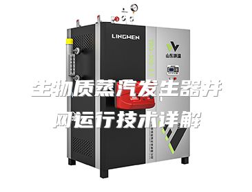 生物质蒸汽发生器并网运行技术详解