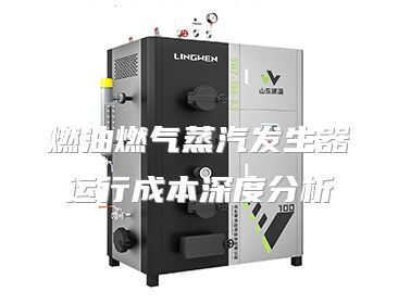 燃油燃气蒸汽发生器运行成本深度分析