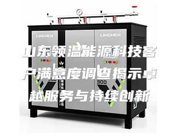 山东领温能源科技客户满意度调查揭示卓越服务与持续创新