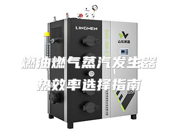 燃油燃气蒸汽发生器热效率选择指南
